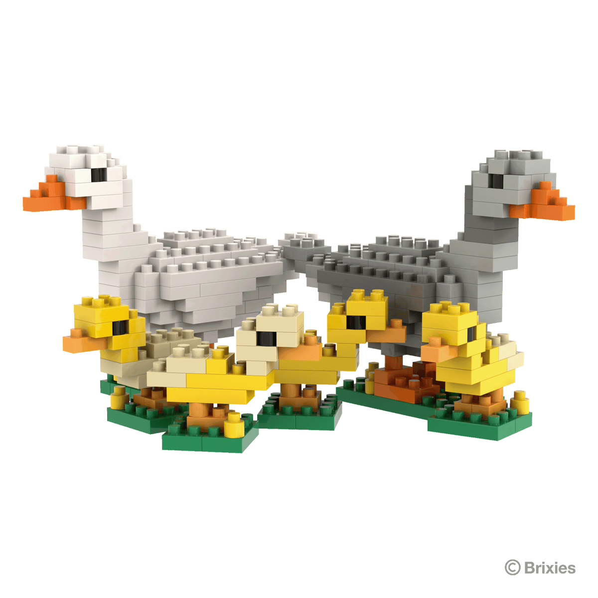 BRIXIES family of geese