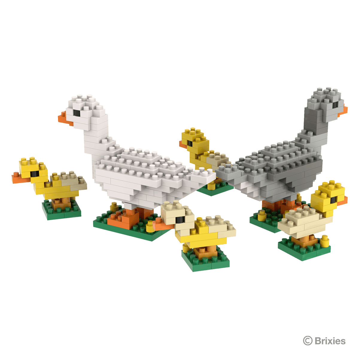 BRIXIES family of geese