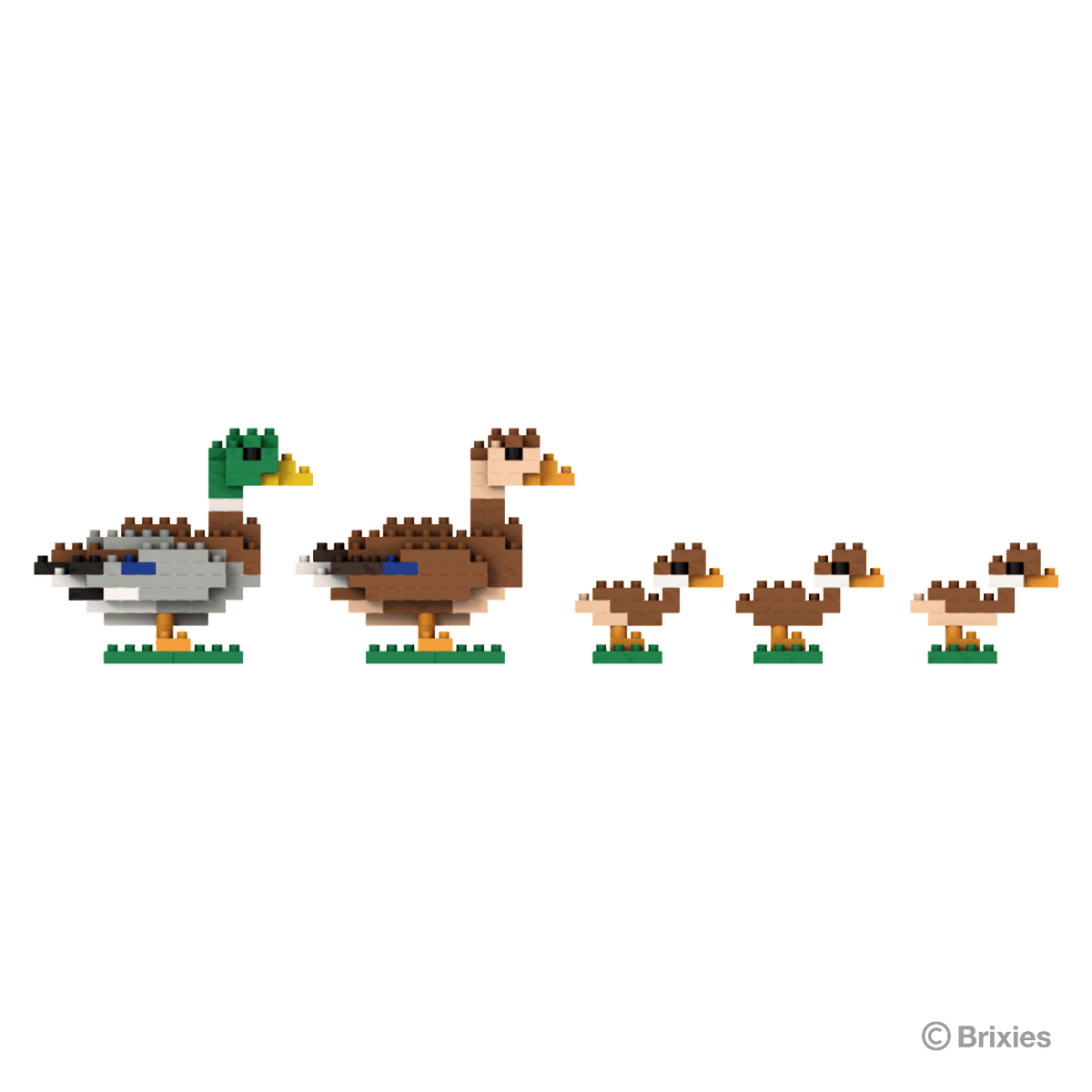 BRIXIES Duck Family