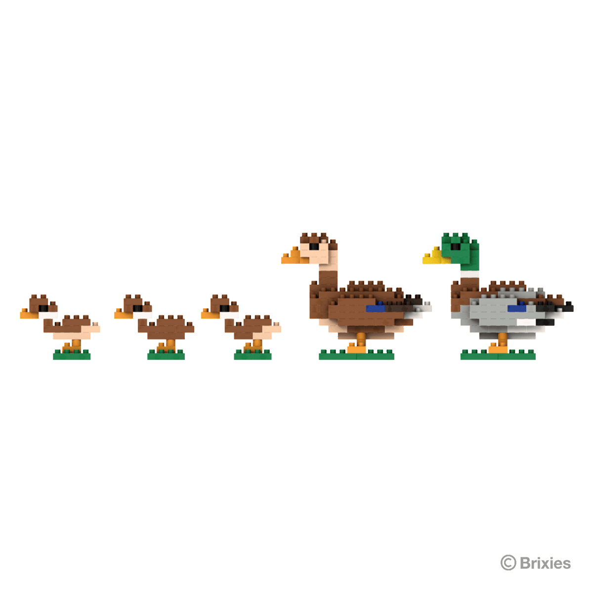 BRIXIES Duck Family