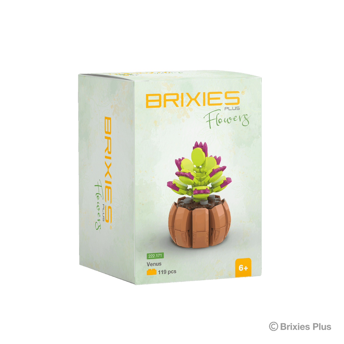 BRIXIES Plus Flowers Sea Lilac