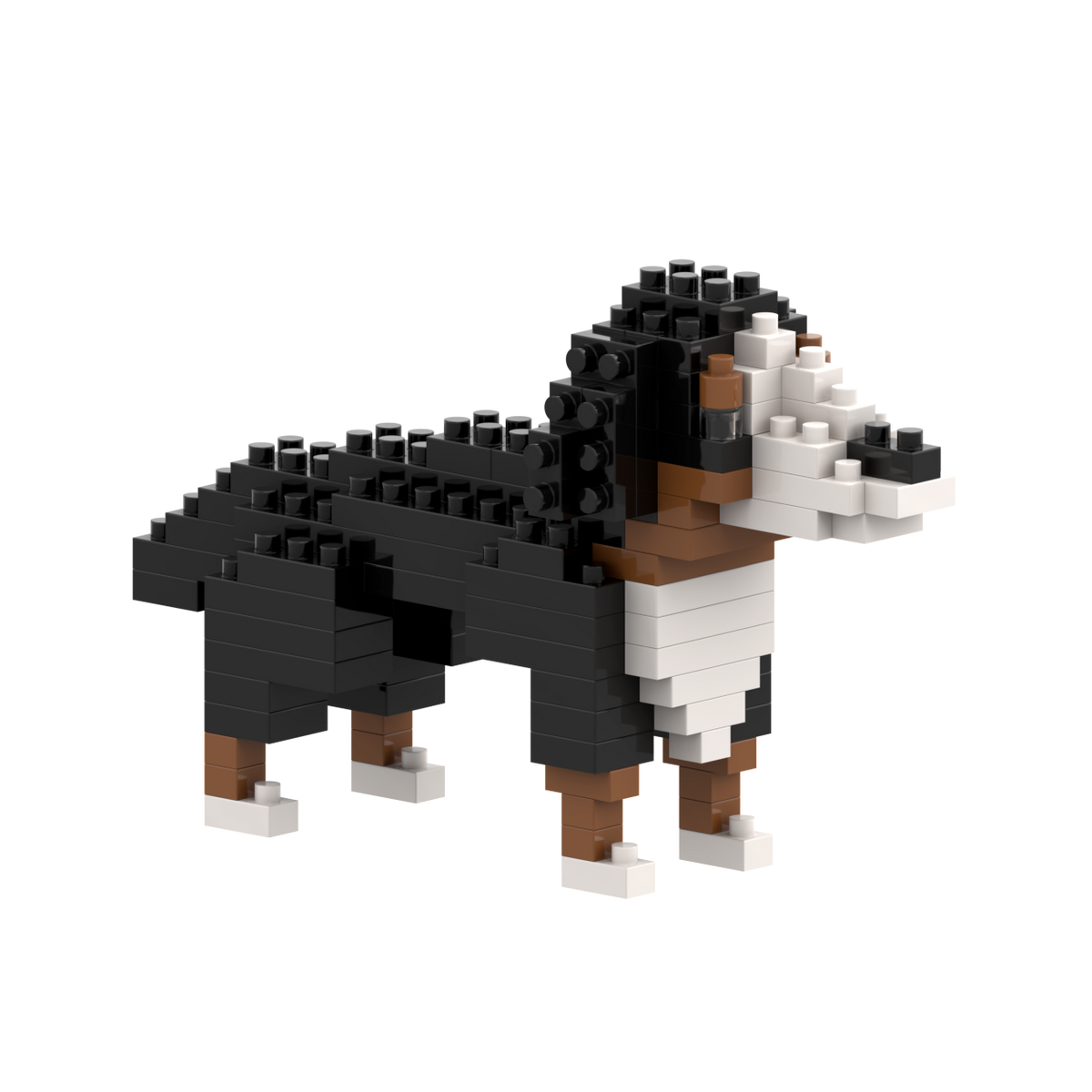 BRIXIES St. Bernard