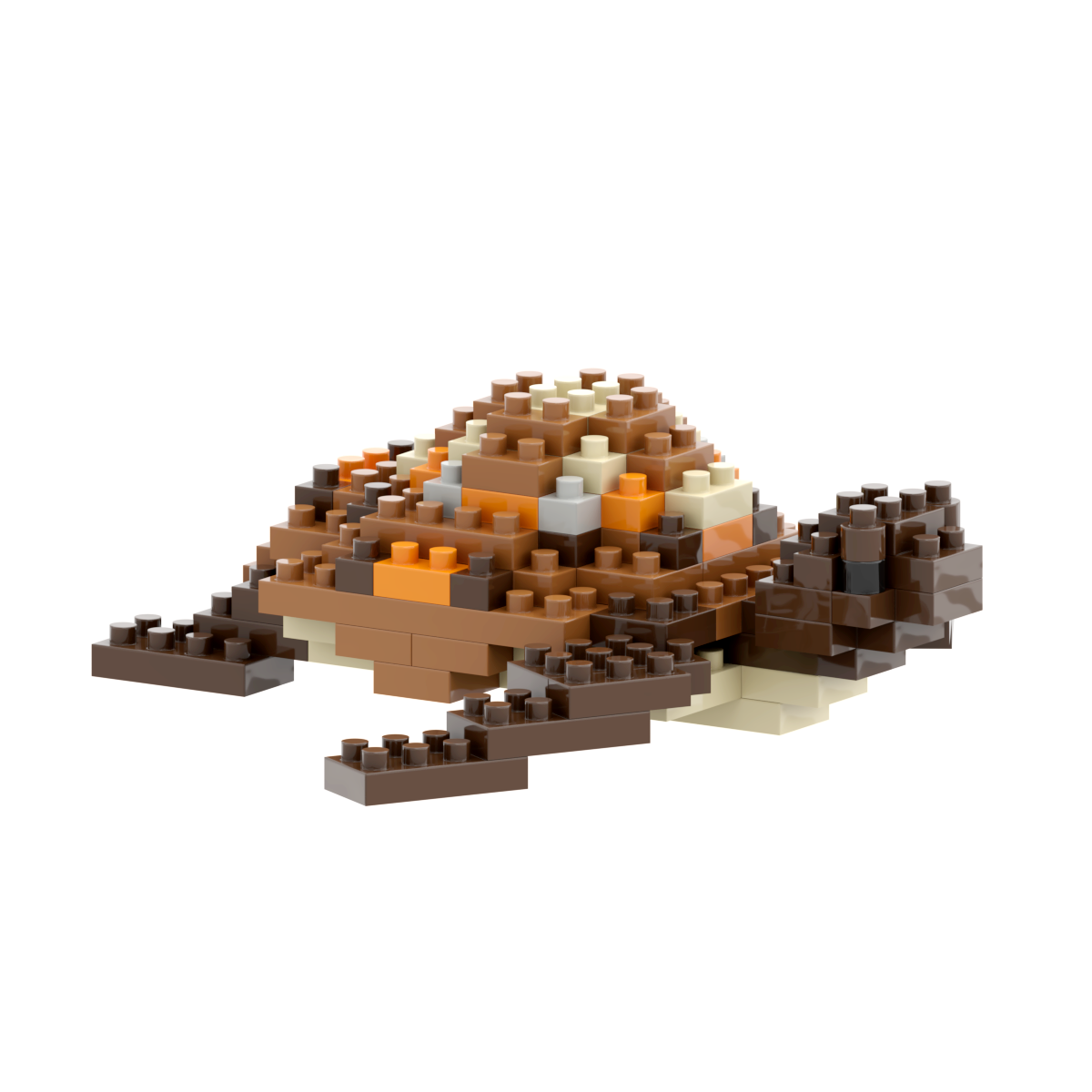 Schildkröte