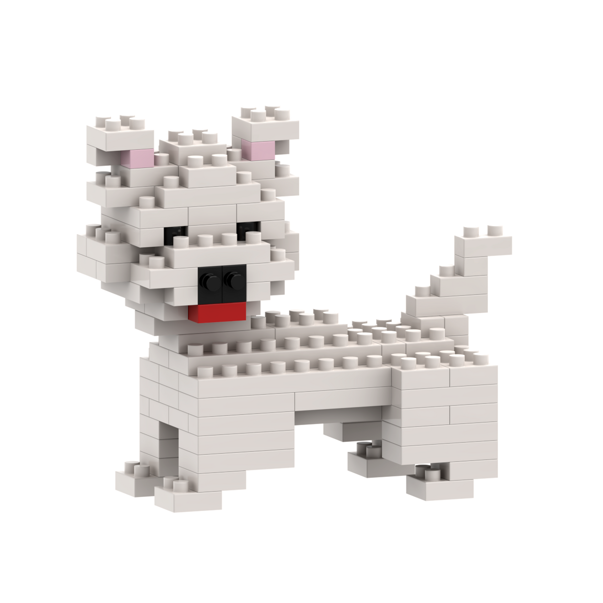 Hund