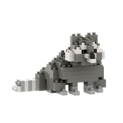 BRIXIES raccoon
