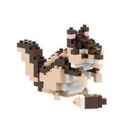 Streifenhörnchen