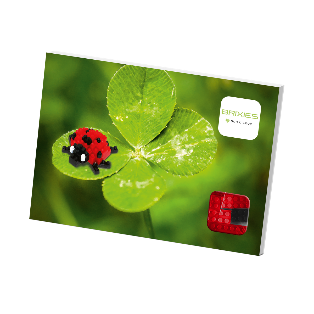 BRIXIES postcard ladybug