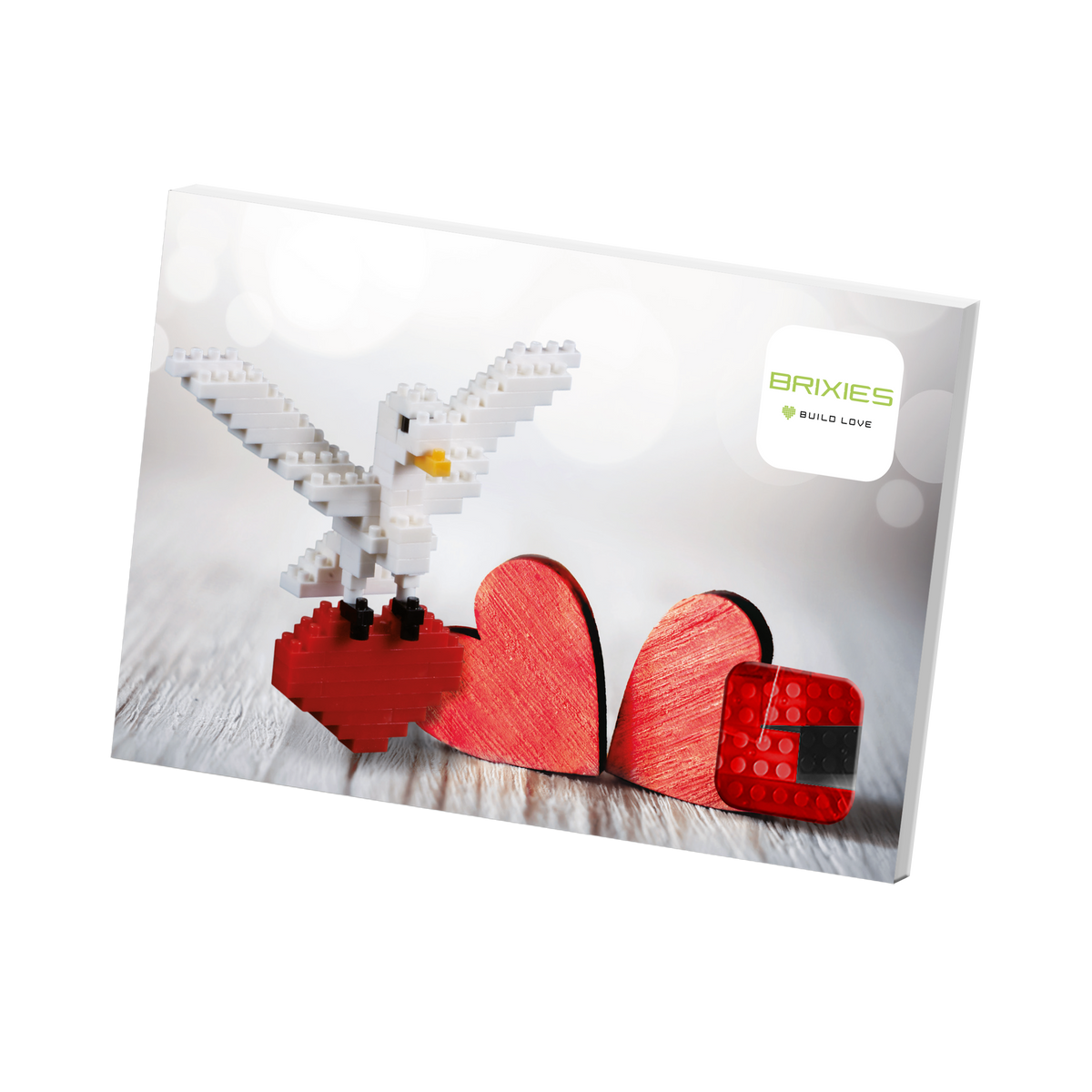 Postkarte Turteltaube
